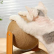Cat Scratching Ball on Stand
