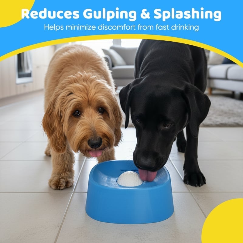 ✨ Slow-Feed Liquid Dog Bowls