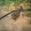 Garden Weed Pulling Tool