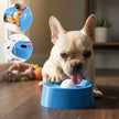 ✨ Slow-Feed Liquid Dog Bowls